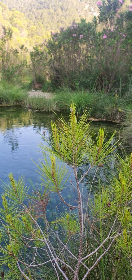 La Chirrichana Bicorp